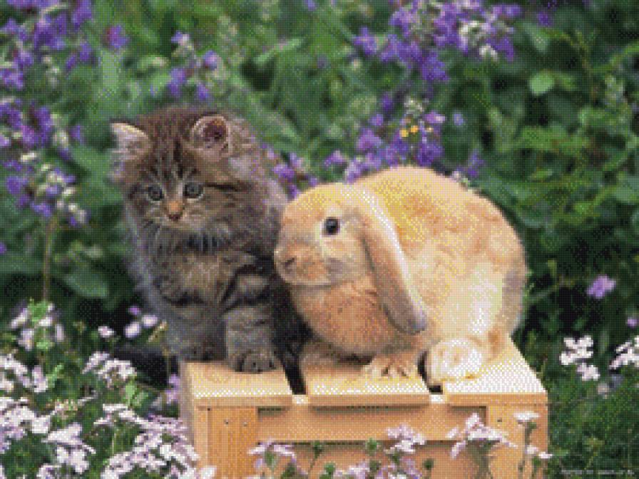 №738340 - предпросмотр