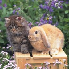 Схема вышивки «№738340»