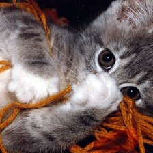 Схема вышивки «№738341»