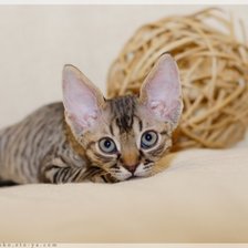 Схема вышивки «№738350»