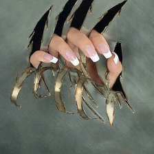 Схема вышивки «Коготки»