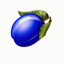 Схема вышивки «слива»