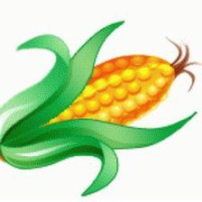 Схема вышивки «кукуруза»