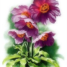 Схема вышивки «№738481»