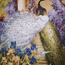 Схема вышивки «павлины»