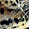 Предпросмотр схемы вышивки «леопард» (№738658)