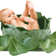 Схема вышивки «Дитя в капусте»