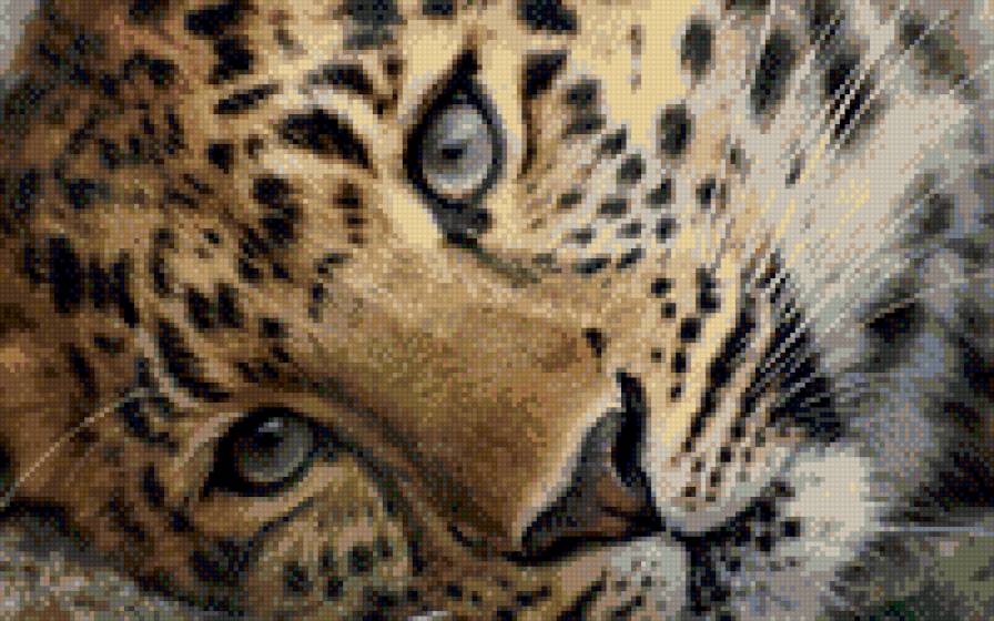 леопард - предпросмотр