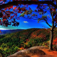 Схема вышивки «природа»