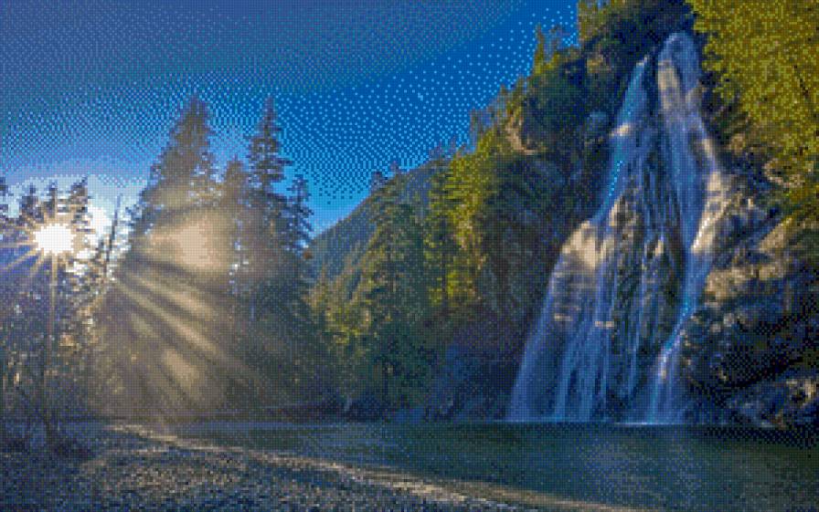 ліс - предпросмотр