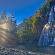 Схема вышивки «ліс»