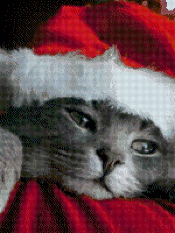 Новогодний котёнок - кошка, новый год, котенок, кот, животные - предпросмотр