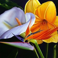 Схема вышивки «сказочные цветы»