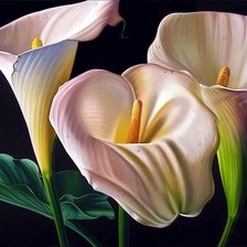 Схема вышивки «сказочные цветы»