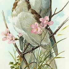 Схема вышивки «№738862»