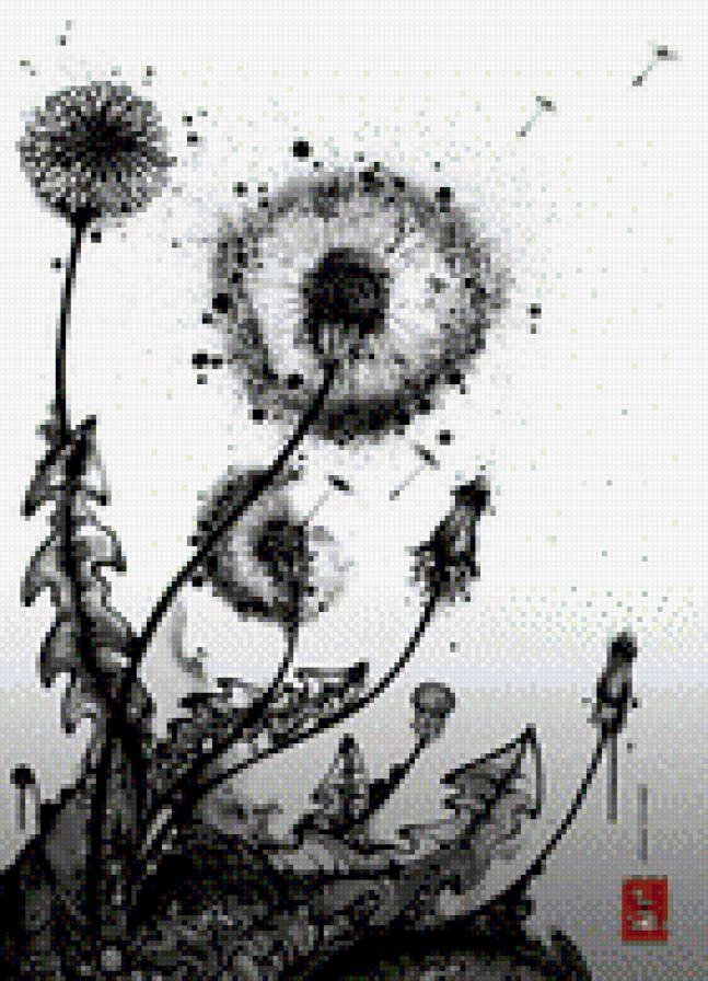 одуванчики - предпросмотр