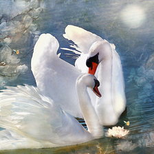 Схема вышивки «Лебеди»