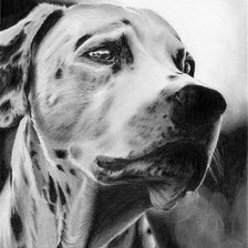 Схема вышивки «Долматинец»