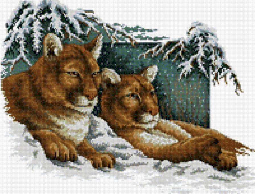 Животные - животные, львыцы - предпросмотр