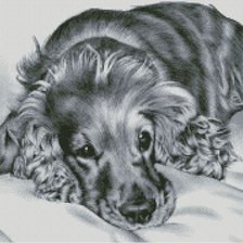 Схема вышивки «В ожидании»