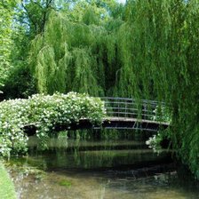 Схема вышивки «Природа»