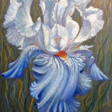 Схема вышивки «Ирис»