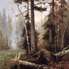 Схема вышивки «После бури»