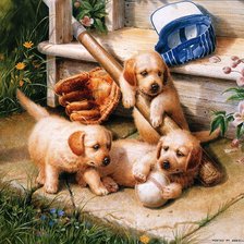 Схема вышивки «№739748»