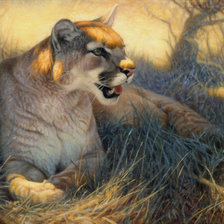 Схема вышивки «львица»