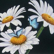 Схема вышивки «ромашки»