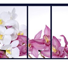 Схема вышивки «триптих "орхидеи"»