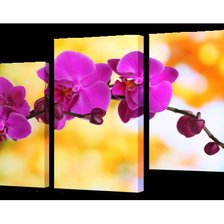 Схема вышивки «триптих "орхидеи"»
