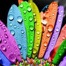 Схема вышивки «Цветик-семицветик»