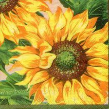 Схема вышивки «соняшники»