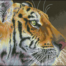 Схема вышивки «Тигр»