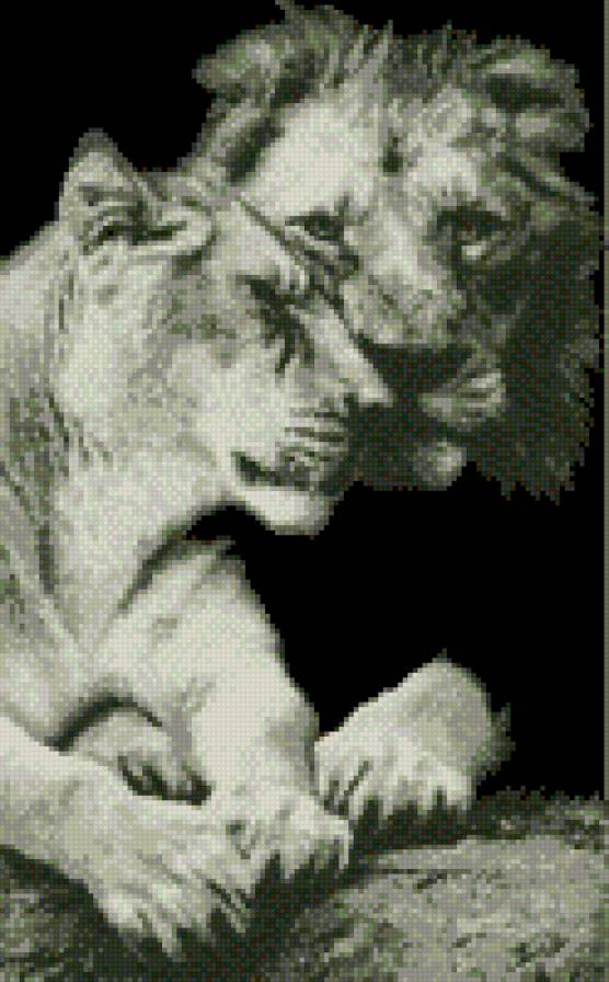 Львиная пара - животные, львы - предпросмотр