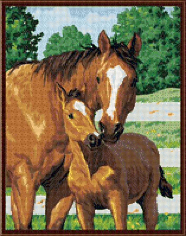 Лошади - лошади, животные, кони - предпросмотр