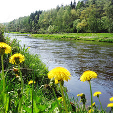 Схема вышивки «pavasaris , dabasskati, upe»