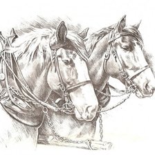 Схема вышивки «Лошади»