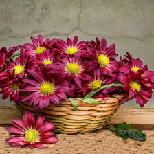 Схема вышивки «Для вас»