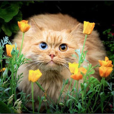 Схема вышивки «Кто здесь?»