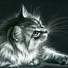 Схема вышивки «киса»