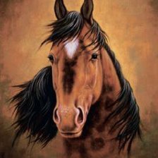 Схема вышивки «лошадь»