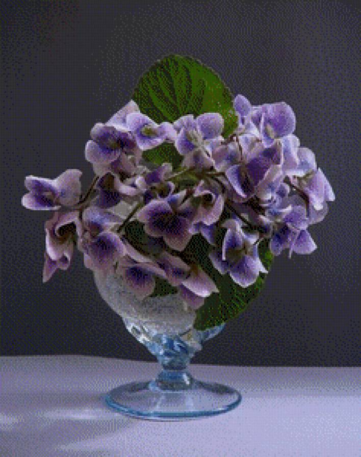 Нежные фиалки - цветы - предпросмотр