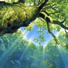 Схема вышивки «лес»