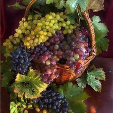 Схема вышивки «№740784»