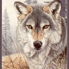 Схема вышивки «№740846»