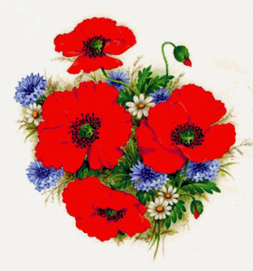 №740867 - ромашки, маки, цветы - оригинал