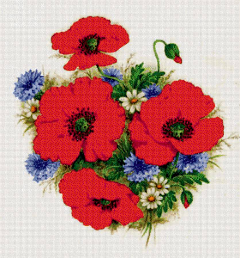 №740867 - маки, цветы, ромашки - предпросмотр