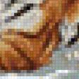 Предпросмотр схемы вышивки «Тигры» (№741037)